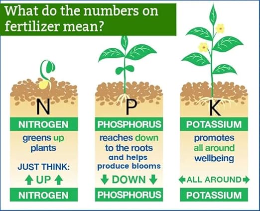 Premium 24-8-16 All Purpose Water Solubable Fertilizer for All Plants by Gardenera - Ideal for Flowers, Plants, Vegetables, Trees, Shrubs, Lawns and Houseplants - 4 Quart