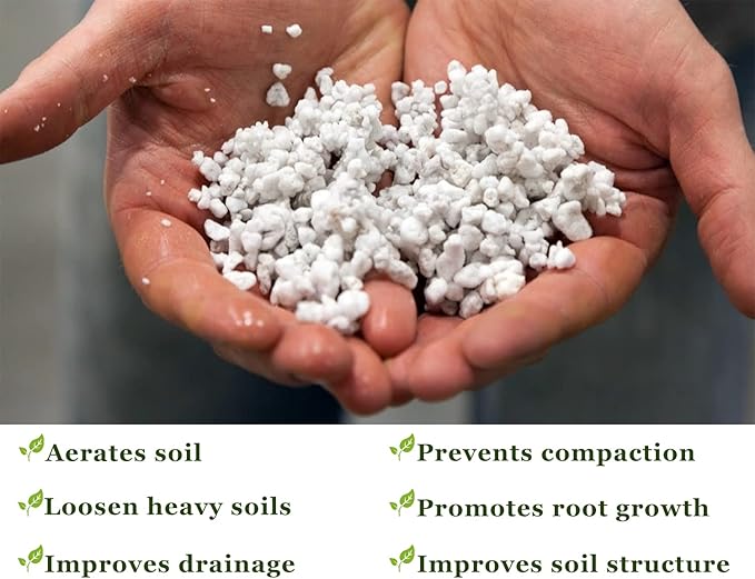Chunky Perlite Bulk, Horticultural Pearlite Coarse Perlite for Plants Indoor, Additive Conditioner Mix, Improve Drainage and Ventilation, Help Root Growth (4-8mm, 1qt)