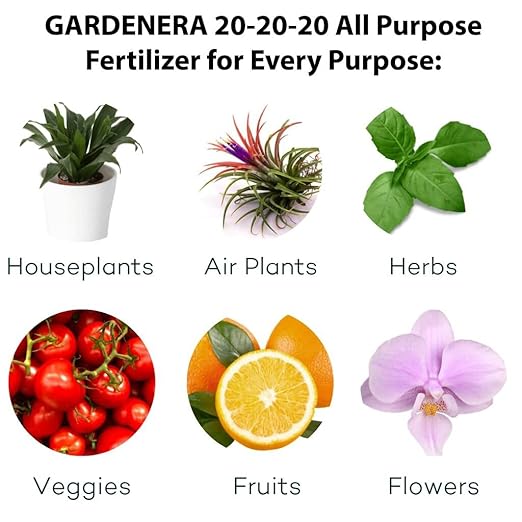 Premium 20-20-20 All-Purpose Soil Fertilizer by Gardenera - Ideal for Flowers, Plants, Vegetables, Fruit Trees and Lawns - 20 Quart