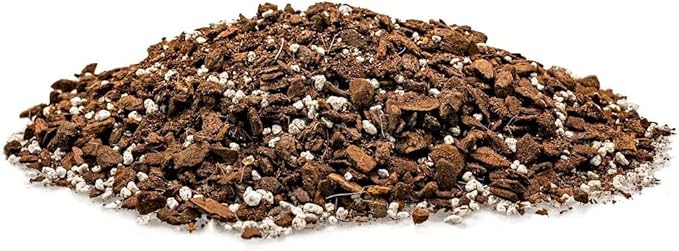 Monstera Borsigiana Soil Mix - Expertly Formulated for Strong Root Development - 2 Quart