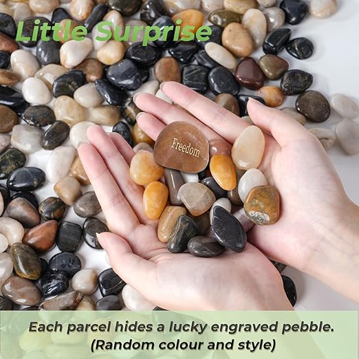 SIDONG 10 LB Mixed River Rocks, 0.3-0.5 Inches High Polished Pebbles for Indoor Plants, Aquarium Rocks Used in Fish Tank, Decorative Stones for Plants, Vases, Home DΓ©cor, Crafting, Garden Landscaping