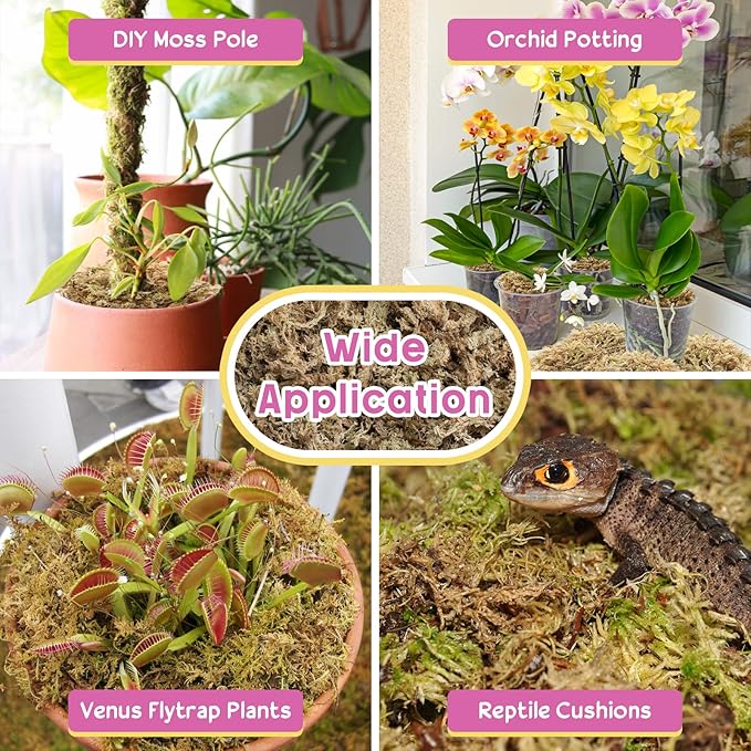 Legigo 14OZ Premium Sphagnum Moss for Plants- 16QT Natural Succulent Carnivorous Plant Moss Dried, Long Fiber Orchid Moss for Orchid Repotting Succulent Sarracenia Potted Plants Gardening and Reptiles