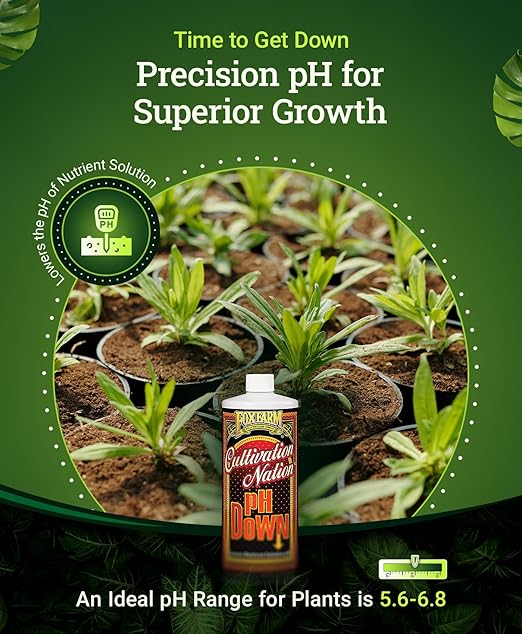 FoxFarm Cultivation Nation pH Down - Liquid Nutrient Solution Adjuster for Hydroponic & Soil Gardens, Lowers pH Levels - 40% Citric Acid for Optimal Plant Growth (Quart)