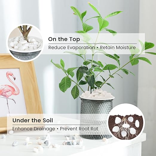 SIDONG 10 LB White River Rocks, 0.3-0.5 Inches Matte Pebbles for Indoor Plants, Aquarium Rocks Used in Fish Tank, Decorative Stones for Plants, Vases, Home DΓ©cor, Crafting, Garden Landscaping
