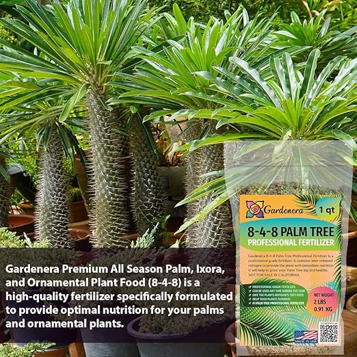 8-4-8 Fertilizer - Unleash The Beauty of Your Palms, Ixora, and Ornamentals with Balanced Nutrition - 10 QUARTS