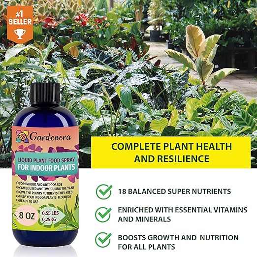 Plant Growth Superfood for ALOCASIA with 18 Essential Vitamins & Minerals - Organic Plant Food Fertilizer - Micro-Fungi and Bio-Organisms for ALOCASIA Plant Care & Growth Enhancement - 32oz