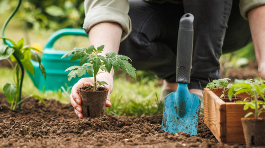 “Plant, Pot, Repeat: Essentials for Every Gardener”