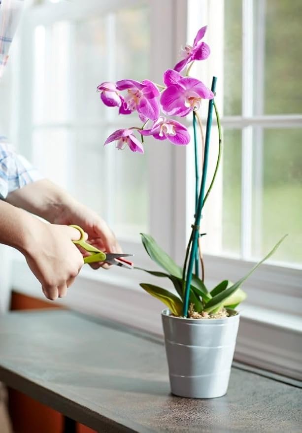 Miracle-Gro Orchid Plant Food Spikes