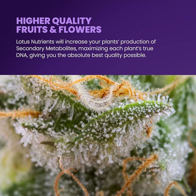 64oz Complete Bloom and Yield Enhancer for Flowering Plants - Naturally Derived Water Soluble Premium Powdered Nutrients Ideal Fertilizer for Soil, Hydroponic, and Coco Coir Indoor and Outdoor Grows