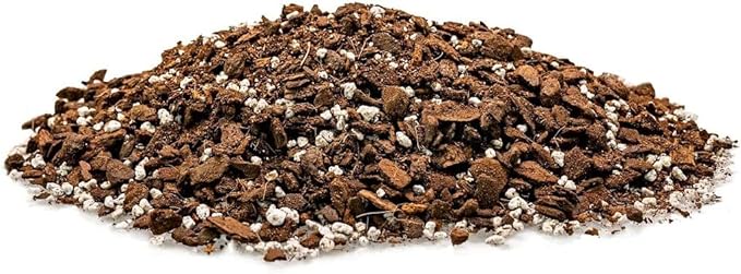 Monstera Borsigiana Soil Mix - Expertly Formulated for Strong Root Development - 2 Quart