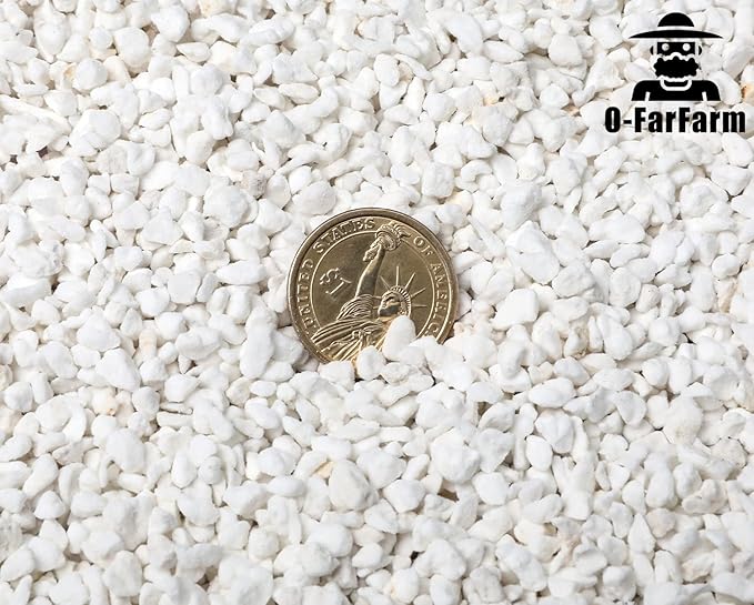 Chunky Perlite Bulk, Horticultural Pearlite Coarse Perlite for Plants Indoor, Additive Conditioner Mix, Improve Drainage and Ventilation, Help Root Growth (4-8mm, 1qt)