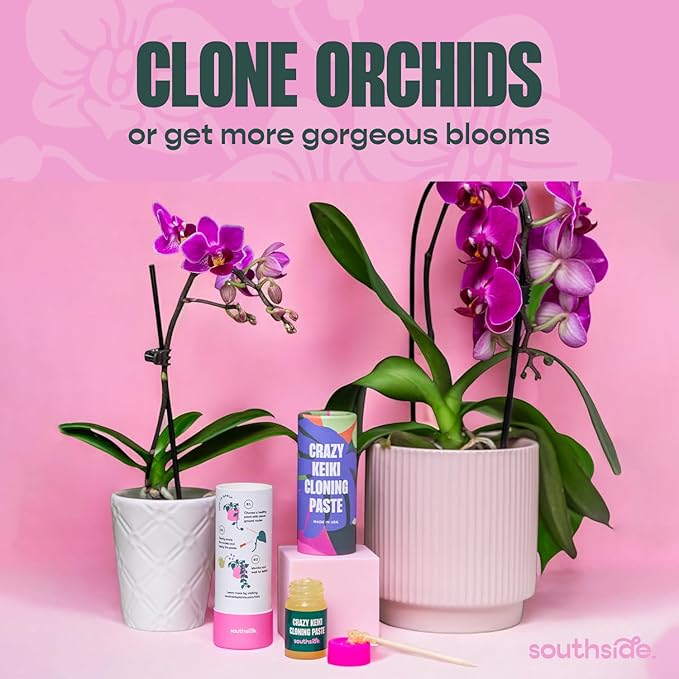 Keiki Cloning Paste by Southside Plants - Miracle Growth for Orchids & Houseplants - Generate New Life with Cytokinin, Hormones & Vitamins - 0.25oz