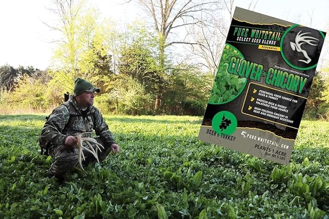 | Clover/Chicory | Select Seed Blends | All Season Whitetail Deer and Turkey Perennial Food Plot Seed | Drought Resistant | Easiest Turkey and Deer Feeders | Plants 1/4 Acre | 5 lb Bag