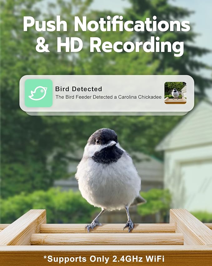 Bird Feeder with Camera, Smart Wild Bird Feeder for Outdoors with AI Identify, Solar Bird Feeder Watching Camera Auto Capture Birds & Real-time Notifications, Gifts for Birdlover (Arch)
