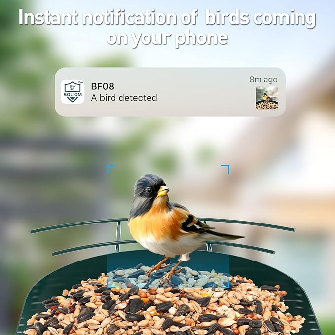 Soliom- Bird Feeder with Camera, 5W Solar Powered, AI Identify Species, Smart Wild Bird Watching, 2K Live View, Instant Arrival Alerts,Large 2.7L Seed Capacity, Metal Squirrel Chew-Proof - BF08 Green
