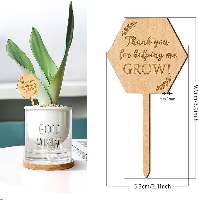 Thank You for Helping Me Grow Succulent Tags Teacher Appreciation Gifts, PARBEE 40PCS Hexagon Plant Stakes Labels Gift for Mother's Day Christmas Thanksgiving Baby Shower