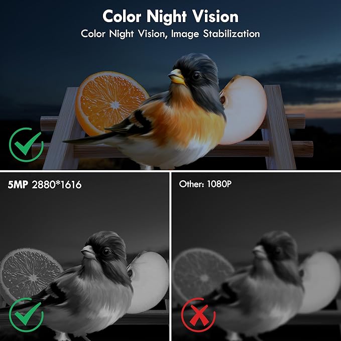 Bird Feeder, 5MP Solar-Powered Smart Bird Feeder with Camera, AI Identifies Birds 10000+, 2.4GHz, Color Night Vision, Instant Notification, Easy to Use, 1.5L Birds Feeders for Outdoor, Yard