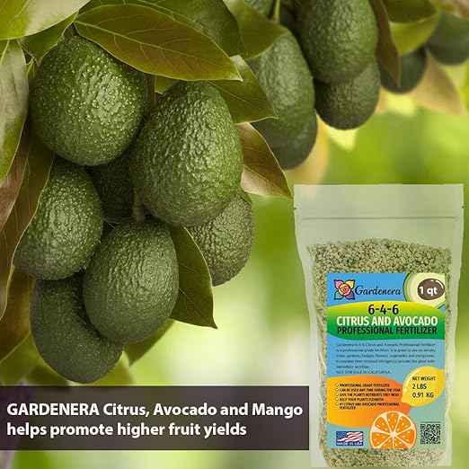 6-4-6 Citrus and Avocado Fertilizer - Unlock The Full Potential of Your Citrus and Avocado Trees - 20 QUARTS