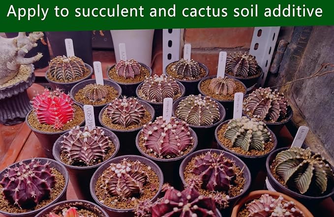 Gardening Akadama Soil - Cactus, Bonsai, Succulent Soil Additives Landscaping Vase Fillings (3/8 inch, 10 QT)