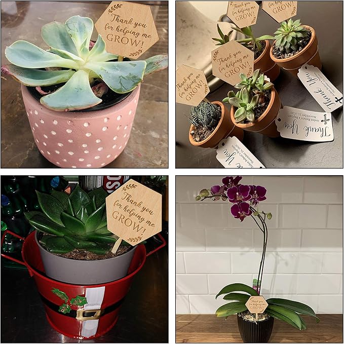 Thank You for Helping Me Grow Succulent Tags Teacher Appreciation Gifts, PARBEE 40PCS Hexagon Plant Stakes Labels Gift for Mother's Day Christmas Thanksgiving Baby Shower
