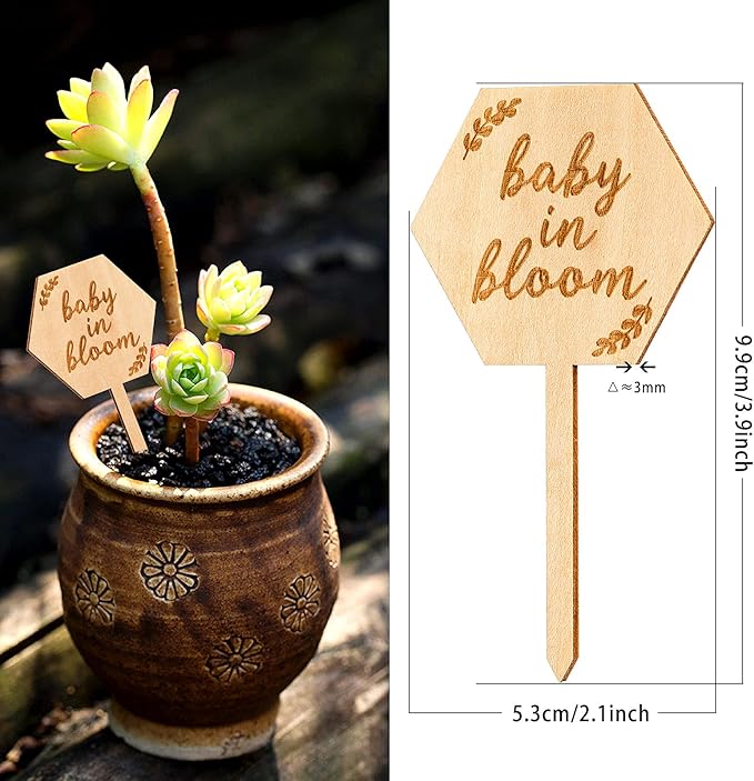 Baby in Bloom Succulent Tags Baby Shower Favors Gifts, PARBEE 40PCS Hexagon Plant Stakes Labels Gift Wooden Garden Stakes Succulent Plant Markers
