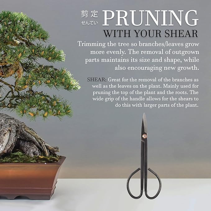 BambooMN Bonsai Basics Set - 8" Knob Cutter and 7.2" Trimming Shear - 3 Sets