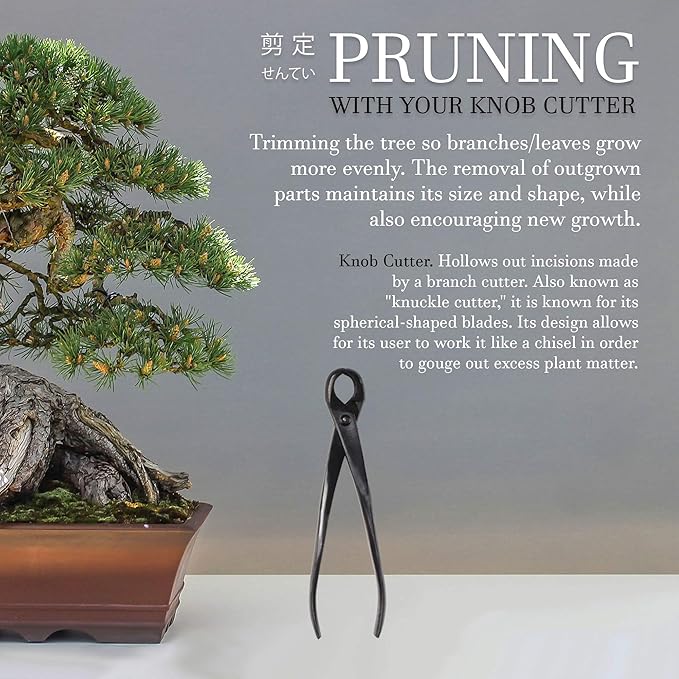 BambooMN Bonsai Basics Set - 8" Knob Cutter and 7.2" Trimming Shear - 3 Sets
