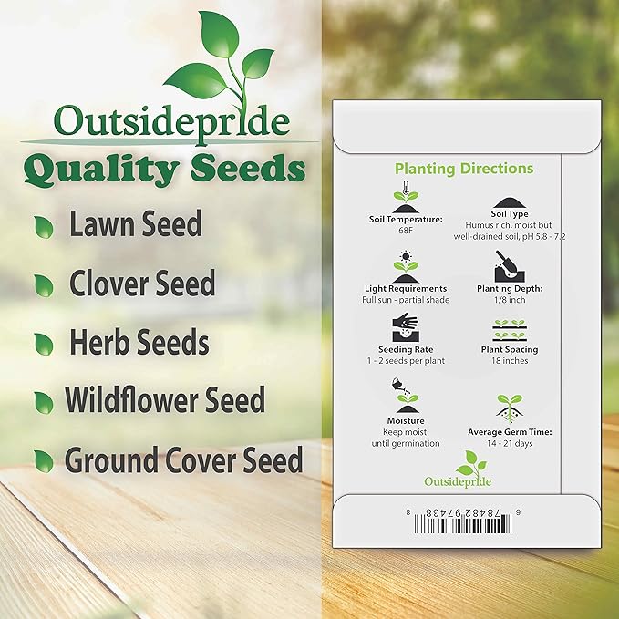Outsidepride 50 Seeds Annual Cerinthe Major Honeywort Flower Seeds for Planting