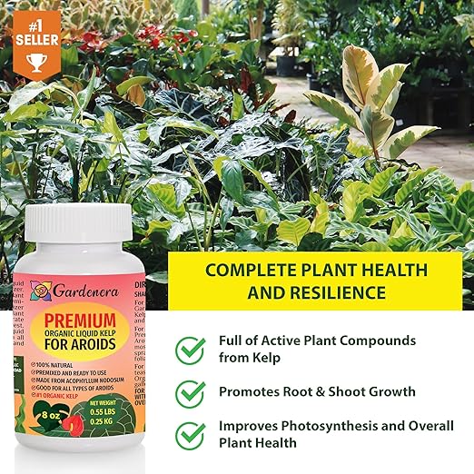 Premium Liquid Kelp Fertilizer for Aroid Plants - 16 oz - Boost Your Aroids' Health Naturally